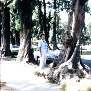 Photo of Alice Persyn